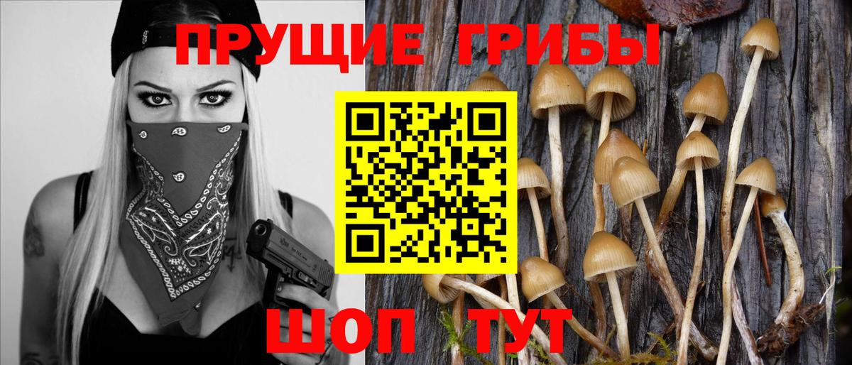 Выборг  Галлюциногенные грибы Magic Shrooms  Вход с VPN 